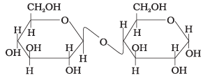 NCERT Exemplar: Biomolecules | Chemistry Class 12 - NEET