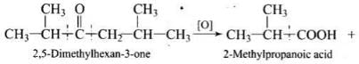 NCERT Exemplar: Aldehydes, Ketones & Carboxylic Acids | Chemistry Class 12 - NEET
