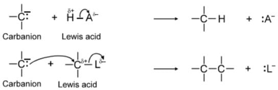 Carbocation & Carbanions - JEE