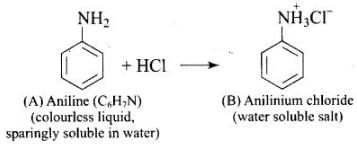 NCERT Exemplar: Amines | Chemistry Class 12 - NEET