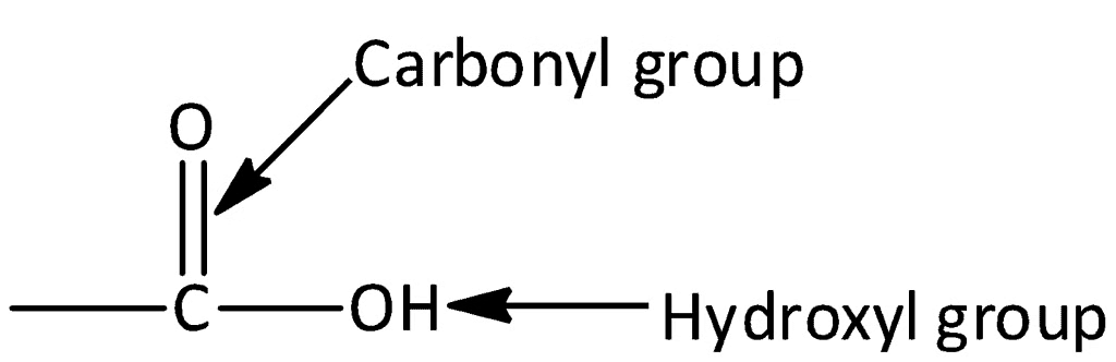 Carboxylic Acids and its Derivatives: Nomenclature & Preparation | Chemistry for JEE Main & Advanced