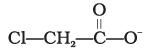 NCERT Exemplar: Some Basic Principles & Techniques | Chemistry Class 11 - NEET