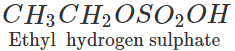 Short & Long Answer Questions: Hydrocarbons | Organic Chemistry for NEET