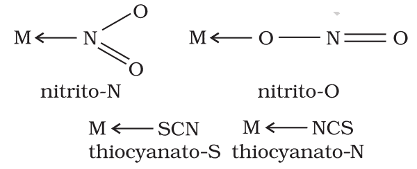 Werner’s Theory & Some Basic Concepts of Coordination Compounds | Chemistry Class 12 - NEET