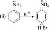 NCERT Exemplar: Amines | Chemistry Class 12 - NEET