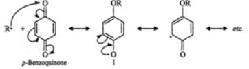 Short & Long Answer Questions: Polymers | Chemistry for JEE Main & Advanced
