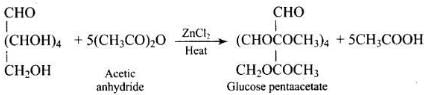 NCERT Exemplar: Biomolecules | Chemistry Class 12 - NEET