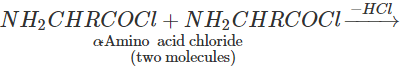 Short & Long Answer Questions: Biomolecules | Organic Chemistry for NEET