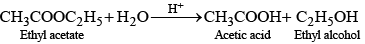 NCERT Exemplar: Chemical Kinetics | Chemistry Class 12 - NEET