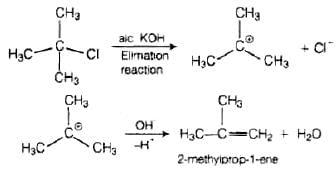 NCERT Exemplar: Haloalkanes and Haloarenes | Chemistry for JEE Main & Advanced