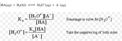 Indicators, Acids, Bases & Salts | Chemistry Class 11 - NEET