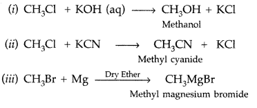 Worksheet With Solutions: Haloalkanes and Haloarenes | Chemistry Class 12 - NEET