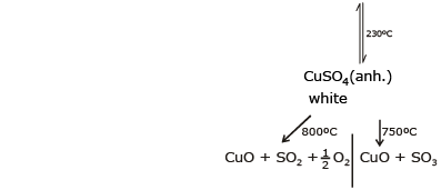 Some Important Compounds of Transition Elements | Chemistry Class 12 - NEET