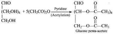 NCERT Exemplar: Biomolecules | Chemistry Class 12 - NEET