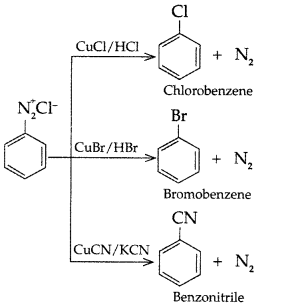Worksheet With Solutions: Haloalkanes and Haloarenes | Chemistry Class 12 - NEET