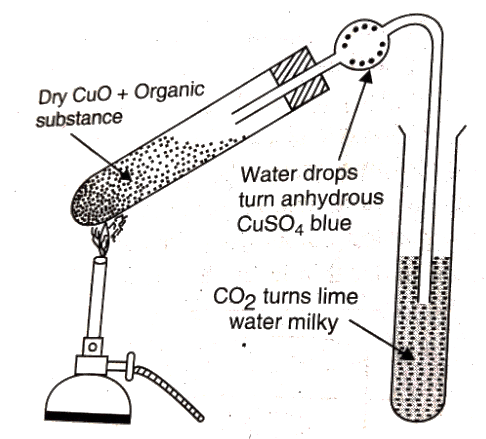 Detection of Carbon and Hydrogen