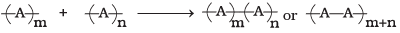 NCERT Exemplar: Polymers (Old NCERT) | Chemistry for JEE Main & Advanced