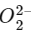 JEE Main Previous Year Questions (2023): Chemical Bonding & Molecular Structure