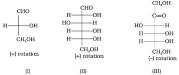 NCERT Exemplar: Biomolecules | Chemistry Class 12 - NEET