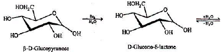 Carbohydrates: Monosaccharides, Disaccharides & Polysaccharides | Chemistry Class 12 - NEET