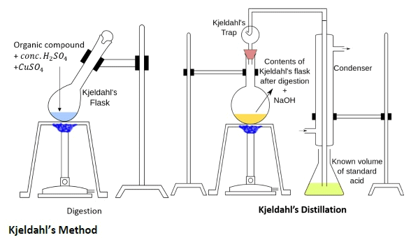 Estimation of Nitrogen by Kjeldahl Method