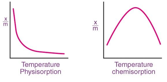 Surface Chemistry & Adsorption | Physical Chemistry for NEET
