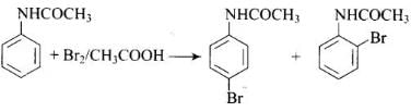 NCERT Exemplar: Amines | Chemistry Class 12 - NEET