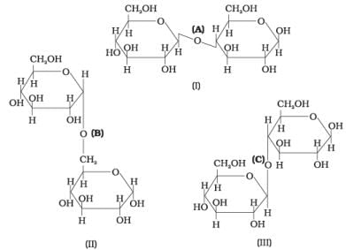 NCERT Exemplar: Biomolecules | Chemistry Class 12 - NEET