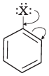 NCERT Exemplar: Haloalkanes and Haloarenes | Chemistry for JEE Main & Advanced