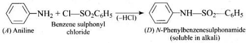NCERT Exemplar: Amines | Chemistry Class 12 - NEET