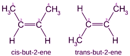 Isomerism in Alkanes, Alkenes & Alkynes | Chemistry Class 11 - NEET