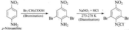 NCERT Exemplar: Amines | Chemistry Class 12 - NEET