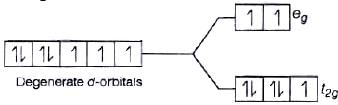 NCERT Exemplar: Coordination Compounds | Chemistry Class 12 - NEET