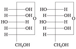 NCERT Exemplar: Biomolecules | Chemistry Class 12 - NEET