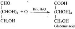 NCERT Exemplar: Biomolecules | Chemistry Class 12 - NEET
