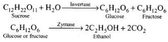 NCERT Exemplar: Alcohols, Phenols & Ethers | Chemistry Class 12 - NEET