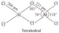 NCERT Exemplar: The p-Block Elements (Class 11) | Chemistry Class 11 - NEET