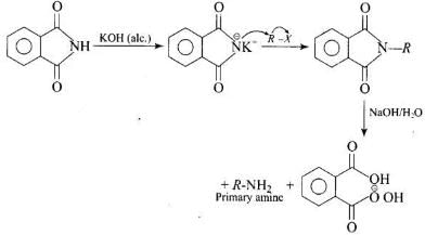 NCERT Exemplar: Amines | Chemistry Class 12 - NEET