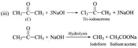 NCERT Exemplar: Aldehydes, Ketones & Carboxylic Acids | Chemistry Class 12 - NEET