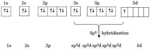 Sample Paper 1 with Solution - Chemistry, Class 11 | Sample Papers for Class 11 Medical and Non-Medical - JEE