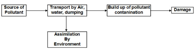 Revision Notes: Environmental Chemistry | Chemistry for JEE Main & Advanced