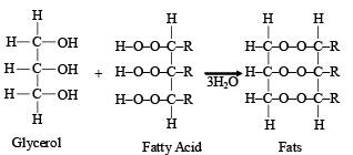 Overview of Polymers: Addition & Polymerization | Chemistry for JEE Main & Advanced