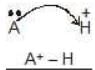 Acidity and Basicity - Class 11