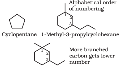 Nomenclature of Organic Compounds | Chemistry Class 11 - NEET