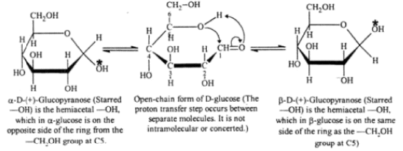 Carbohydrates: Monosaccharides, Disaccharides & Polysaccharides | Chemistry Class 12 - NEET