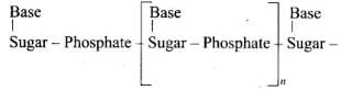 NCERT Exemplar: Biomolecules | Chemistry Class 12 - NEET