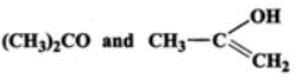 Short & Long Answer Question - Class 11
