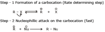 Chemical Reaction: Nucleophilic Substitution Reactions | Chemistry for JEE Main & Advanced