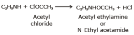 Physical & Chemical Properties of Amines | Chemistry Class 12 - NEET