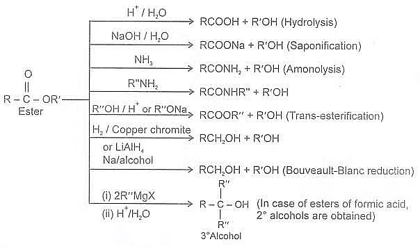 Carboxylic Acids and its Derivatives: Nomenclature & Preparation | Chemistry for JEE Main & Advanced